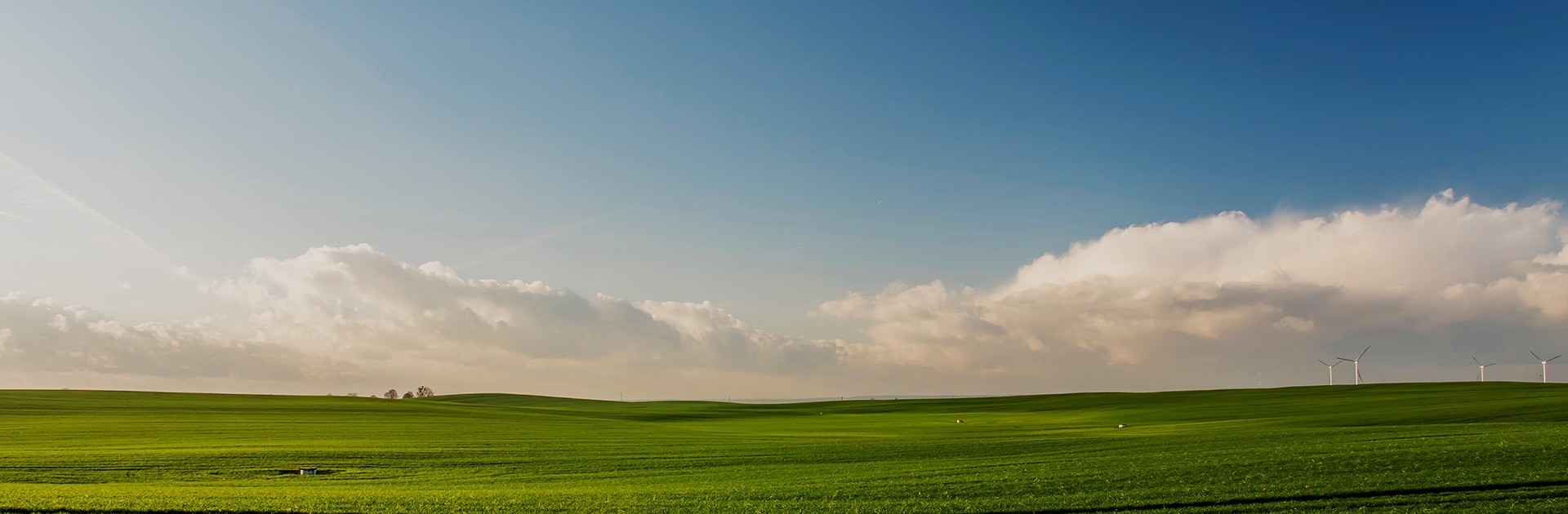 PP电子·仿照器(试玩游戏)官方网站