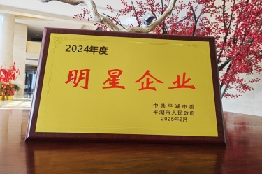 新春新景新形象 | pp电子纸业在平湖三干大会上喜摘荣誉！
