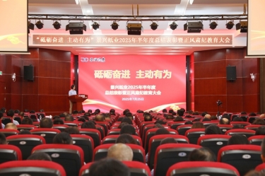 砥砺奋进 自动有为 | pp电子纸业2025年半年度总结赞美暨正风肃纪教育大会隆沉召开